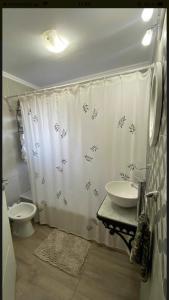 baño con lavabo y cortina de ducha en Cabaña Caballeriza La Prestancia en Tandil