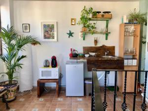 a kitchen with a refrigerator and a microwave at Casa Guidai in Granada