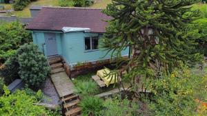 ブライトン＆ホーブにあるGreenfield Lodgeの目の前に木が植えられた小さな青い家