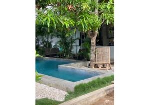 a swimming pool with a bench and a tree at Soiree in Zipolite