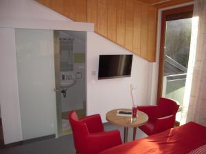 Televízia a/alebo spoločenská miestnosť v ubytovaní Pension Nocksteinblick