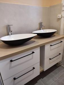 two sinks on a counter in a bathroom at chambre d'hôtes chez DENFLO in Sevremont