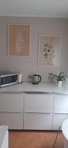een keuken met een aanrecht met een magnetron bij Flowers Apartament in Piła