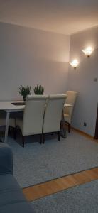 Fotografia z galérie ubytovania Flowers Apartament v destinácii Piła