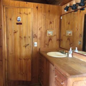 a bathroom with a sink and a wooden wall at Maravillosa cabaña en orilla de Lago Vichuquén 