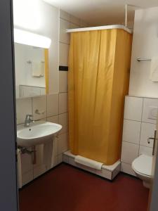 a bathroom with a shower and a sink and a toilet at Motel & Aparthotel Brüggli in Emmen