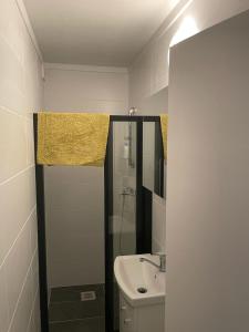 a small bathroom with a shower and a sink at Pension Zdarsky in Lilienfeld +1 photo