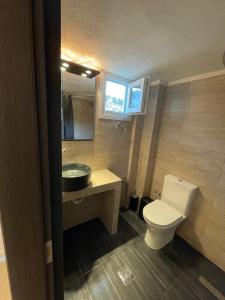 a small bathroom with a toilet and a sink at Hotel Valerios in Kriopigi