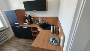 a small kitchen with a sink and a counter at Altes Zollhaus Hülperode in Hülperode +5 photos