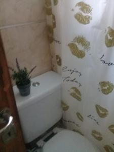 baño con aseo y planta en la pared en San Rafael Ciudad, en San Rafael