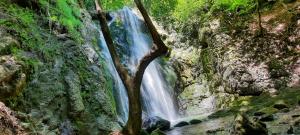 Φυσικό τοπίο κοντά σε αυτό το κάμπινγκ