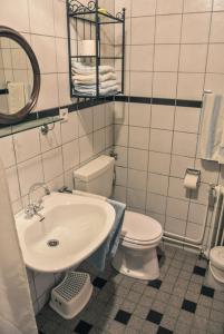a bathroom with a sink and a toilet and a mirror at Marx Bauernhaus 