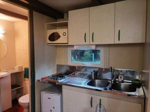 cocina pequeña con fregadero y fogones en Les Cabanes du Voyageur, en Sainte-Marie