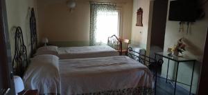 a bedroom with two twin beds and a window at Agriturismo La Riccardina in Budrio