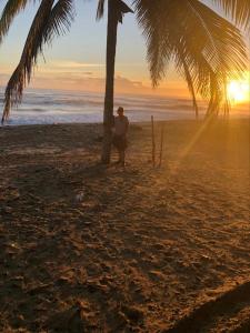 a woman standing next to a palm tree on a beach at El Cabarete Boutique Hotel in Cabarete