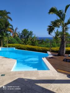 a swimming pool in a villa with a palm tree at Villa spa Grand Anse in Petite Île