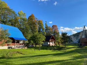 a house with a blue roof on a grass field at Котедж На Лузі in Verkhne-Studënyy