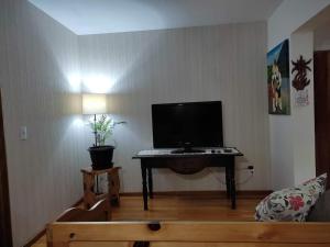 a living room with a flat screen tv on a table at Viena Hospedaria in Treze Tílias