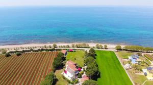 an aerial view of a farm and the ocean at Irida Beach Resort Suites in Kyparissia