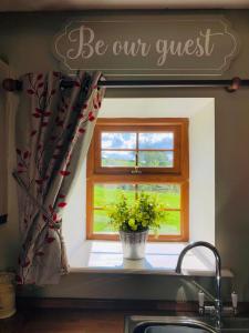 a window in a kitchen with a potted plant on a window sill at The Wee Barn. In the heart of the countryside in Corbet Milltown