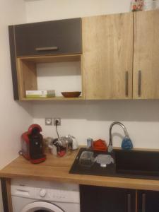 eine Küchentheke mit einer Spüle und einer Waschmaschine in der Unterkunft Appartement neuf T2 dans résidence in Schiltigheim