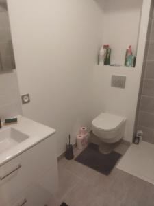 une salle de bain blanche avec toilettes et lavabo dans l'établissement Appartement neuf T2 dans résidence, à Schiltigheim