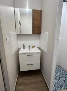 a bathroom with a white sink and a mirror at Appartement rénové à 15min de Lyon in Saint-Fons