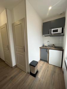 Saint-Fons的住宿－Appartement rénové à 15min de Lyon，一间带水槽和微波炉的小厨房