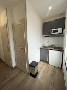 Η κουζίνα ή μικρή κουζίνα στο Appartement rénové à 15 min de Lyon +7 φωτογραφίες