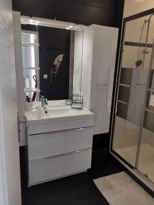 La salle de bains blanche est pourvue d'un lavabo et d'une douche. dans l'établissement Souvenirs de Provence T2 neuf avec loggia, à Digne-Les-Bains