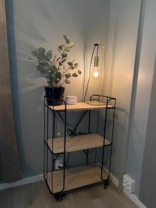 a shelf with a potted plant and a lamp at Strøken liten leilighet i Svolvær. in Svolvær