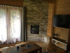 a living room with a fireplace and a flat screen tv at Chalet Ons Oekje in Vrouwenpolder