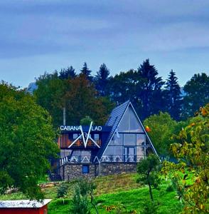 a barn with a flag on the side of it at Cabana Vlad Maramureș in Deseşti