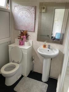 a bathroom with a white toilet and a sink at 185 Belle Aire, Beach Road, Hemsby, Norfolk, NR29 4HZ in Hemsby