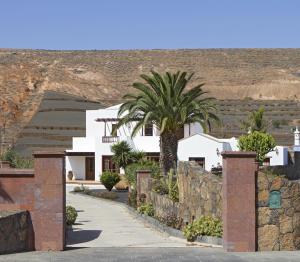 a palm tree in front of a white house at Villa Remedios in Teguise
