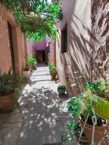 un callejón con macetas y un edificio en Casona de Sillar, en Arequipa
