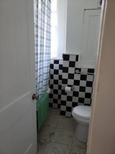 a bathroom with a toilet and a checkered shower curtain at D.C.'s Brookland house Pets are Welcome! in Washington, D.C. +7 photos