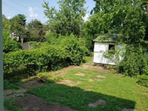 a yard with a shed in the middle of a yard at D.C.'s Brookland house Pets are Welcome! in Washington, D.C.