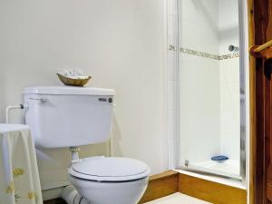 a bathroom with a toilet and a shower at Stable Cottage in Leintwardine