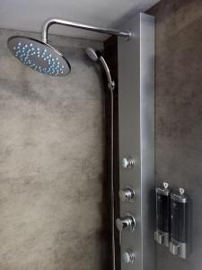 ducha con espejo y cabezal de ducha en Appartement atypique indépendant sur péniche, en Metz