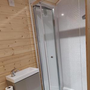 a shower in a bathroom with a toilet and a sink at Delightful log cabin with views of Scrabo tower in Comber