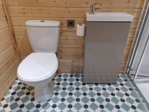 a bathroom with a toilet and a sink at Delightful log cabin with views of Scrabo tower in Comber