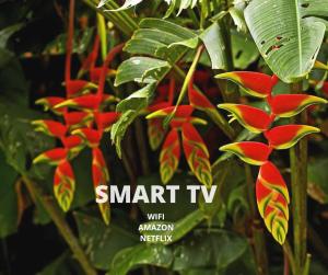 ein Poster einer Pflanze mit roten und grünen Blättern in der Unterkunft Hermoso apartamento in Florencia