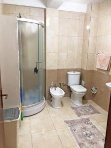 La salle de bains est pourvue d'une douche, de toilettes et d'un lavabo. dans l'établissement Central Private Apartment with Views, à Peje