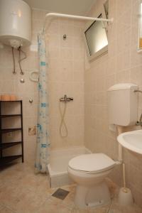 La salle de bains est pourvue de toilettes, d'une douche et d'un lavabo. dans l'établissement Apartments by the sea Pasadur, Lastovo - 8391, à Lastovo
