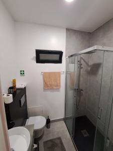 e bagno con doccia, servizi igienici e lavandino. di Friendly house a Funchal