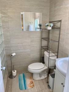 a bathroom with a toilet and a mirror and a sink at SeaSide Townhome, Spacious 2br 3bath Leeward Grace Bay, Providenciales, walk to beach in Providenciales