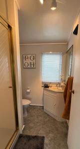 a bathroom with a sink and a toilet and a window at Charm on Chippendale B&B in Palmerston North