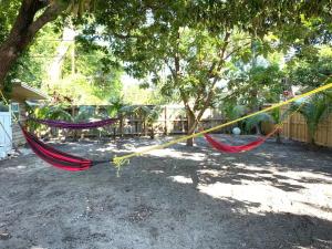 a hammock tied to a tree in a yard at Private Hollywood APT Near Beach Airport & Casino in Hollywood
