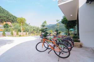 Jízda na kole v ubytování Cosy House - Venuestay nebo okolí + 13 fotografií